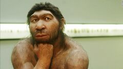 Neanderthals-allergies-super-169.jpg