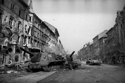 1956.11.BudapestSovietSAU.jpg