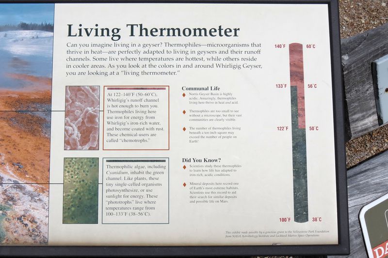 File:RickYellowStone2012july 5780.JPG